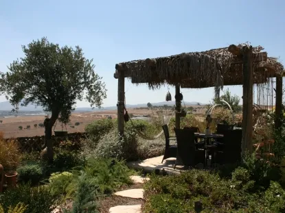 גינות לגלריה 21